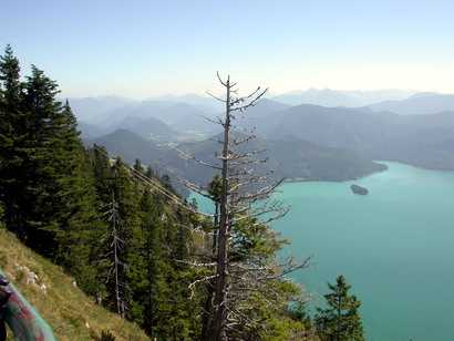 Walchensee vom Herzogstand